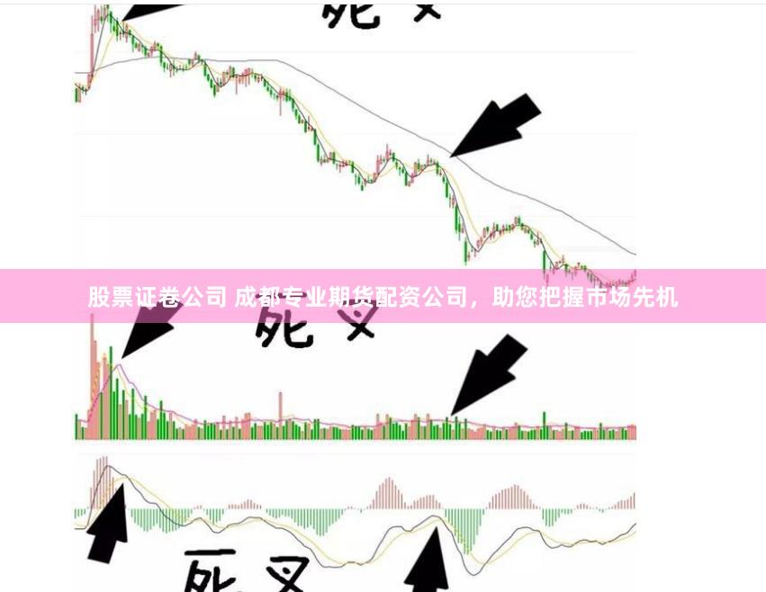 股票证卷公司 成都专业期货配资公司，助您把握市场先机